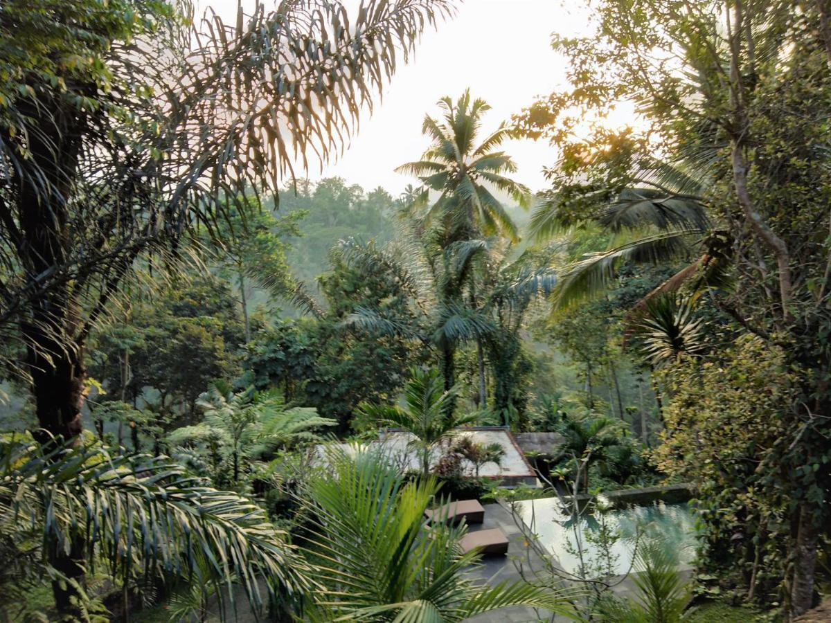 Villa Rimba Ubud Тегаллаланг Экстерьер фото