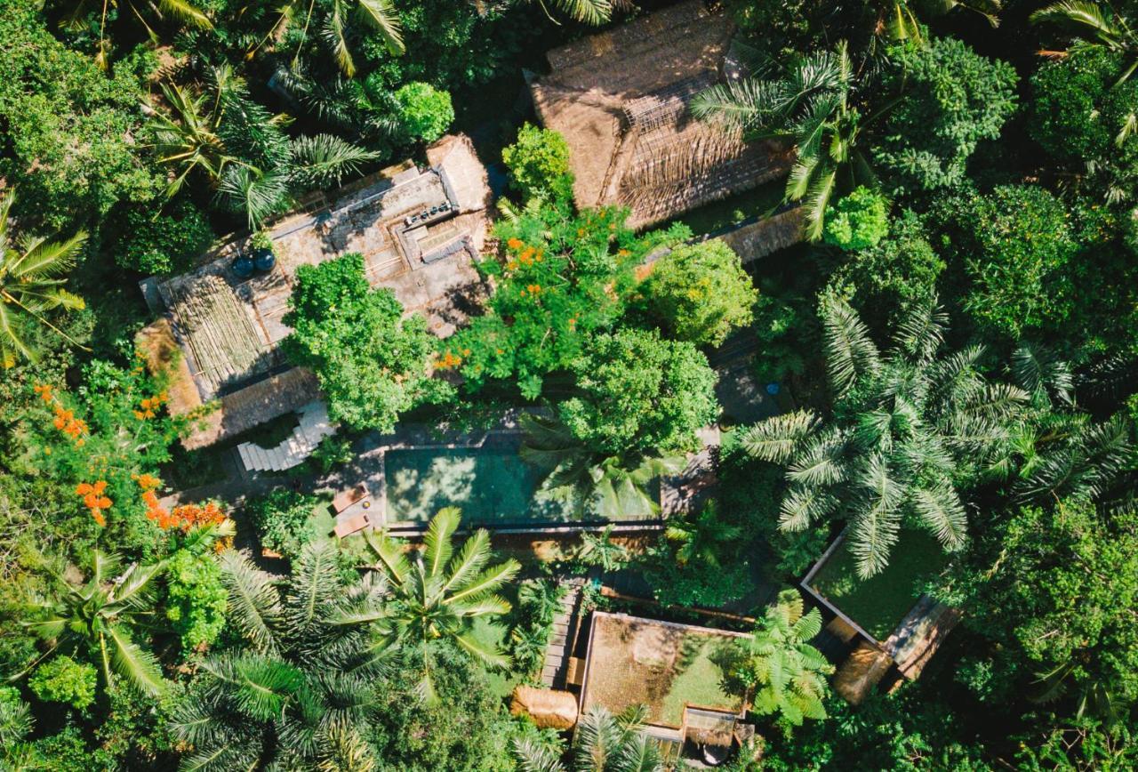 Villa Rimba Ubud Тегаллаланг Экстерьер фото
